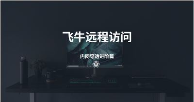 飞牛远程访问--内网穿透进阶篇